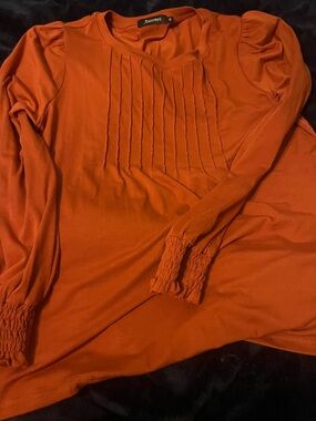 Autumnal Orange Pintuck Detail Tunic Top by